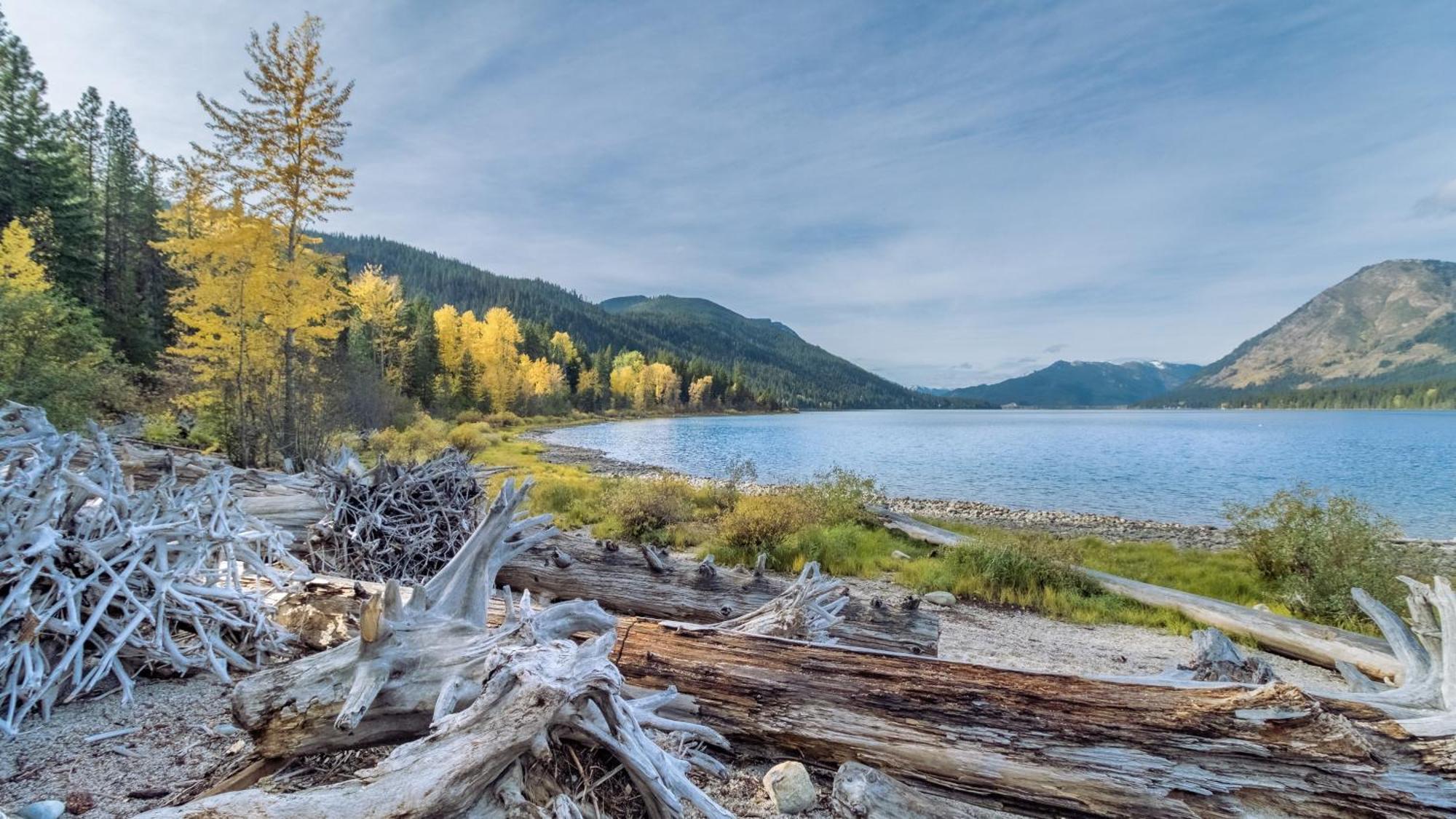 Nature Acres By Nw Comfy Cabins Leavenworth Exteriér fotografie